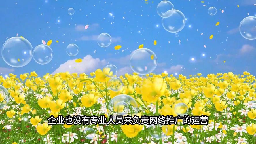 推广宣传一站式服务公司 发布于 2024